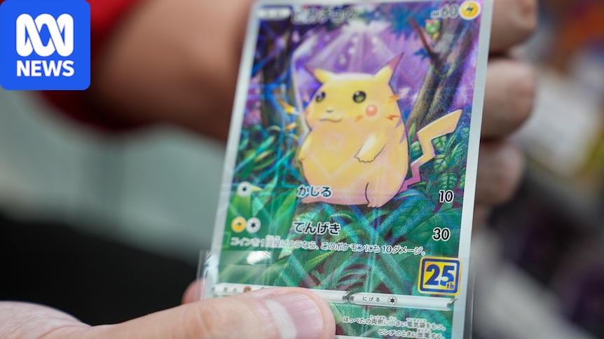 Japón estudia regular el mercado de cartas Pokémon y Yu-Gi-Oh! ante el auge de reventa y fraudes